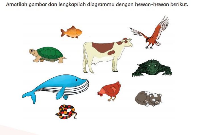 Mengelompokkan Hewan Ke Dalam Diagram Venn Materi Kelas 6 Sd Tema 1 Subtema 2 Semua Halaman Adjar
