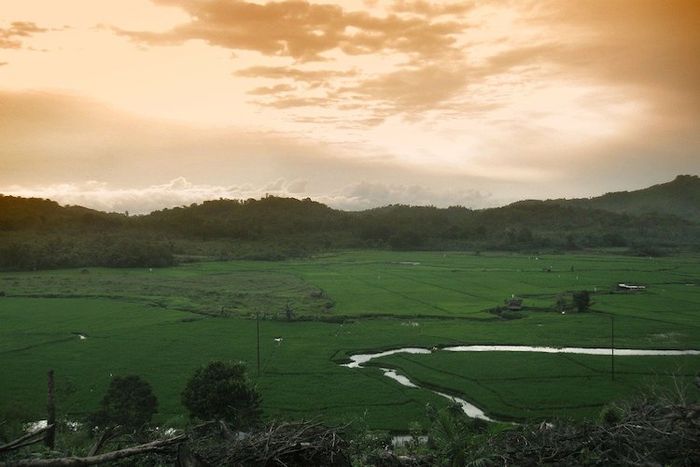 Pulau Kalimantan memiliki gunung, dataran rendah, serta laut dan juga pantai.