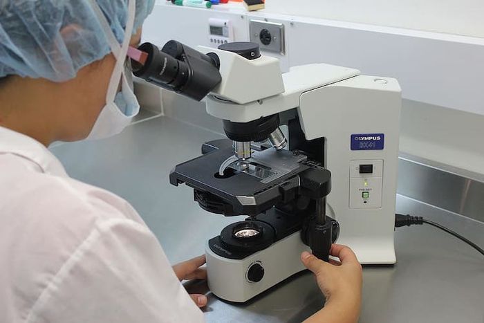 Setiap cabang ilmu biologi fokus mempelajari hal yang berbeda.