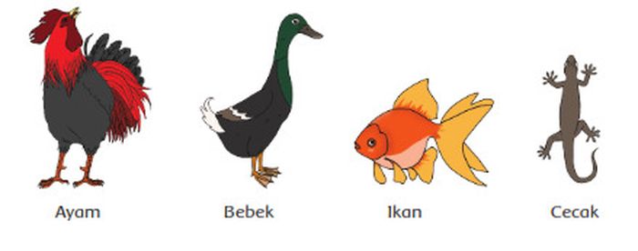 Cari Jawaban Materi Kelas 6 Sd Tema 2 Ciri Ciri Hewan Dan Lingkungan Tempat Tinggalnya Semua Halaman Bobo