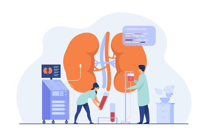 Hati merupakan salah satu organ terbesar di dalam tubuh.