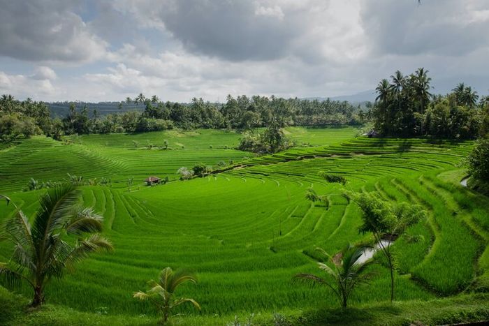 Negara Indonesia memiliki keadaan fisik tertentu.