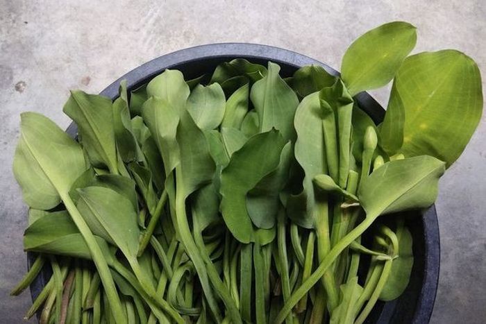 Sayur genjer dapat diolah menjadi masakan yang enak.