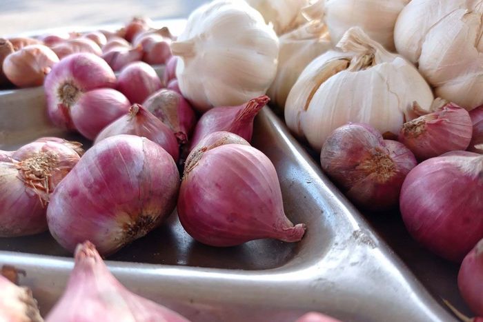Bawang putih dapat meningkatkan fungsi dari sistem imun manusia.