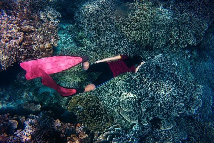 Snorkeling juga merupakan salah satu contoh olahraga akuatik.