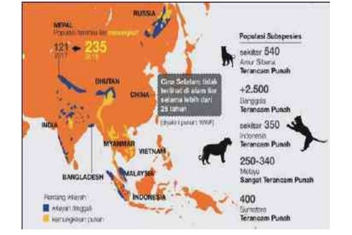 Penurunan populasi harimau liar di wilayah Asia.