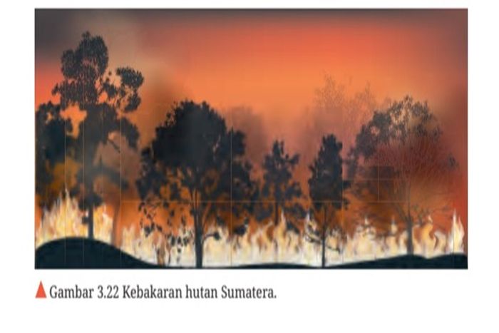 Peristiwa kebakaran hutan yang terjadi di Sumatra.