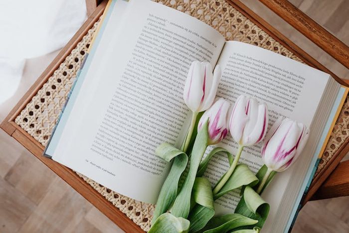 Karakteristik hikayat adalah disebarkan secara lisan yang membuatnya dapat tersampaikan dengan cepat dibandingkan dengan menggunakan media tulisan.