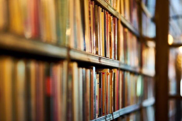 Untuk mengetahui apa yang menyebabkan bias sejarah maka perlu memahami elemen-elemen sejarah terlebih dahulu.