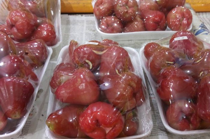 Hasil gambar untuk jambu air