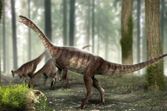 76+ Gambar Penemuan Dinosaurus Terbaik 76+ Gambar Penemuan Dinosaurus Terbaik