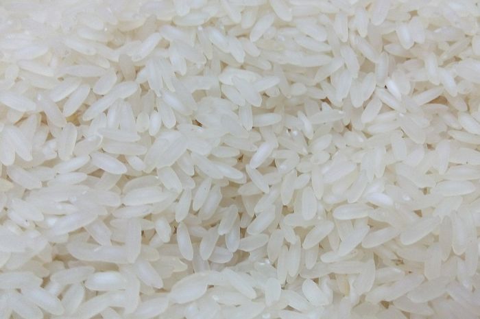 Pernah Lihat Semut Di Tumpukan Beras Inilah 5 Cara Alami Untuk Menghilangkannya Semua Halaman Bobo Pernah Lihat Semut Di Tumpukan Beras Inilah 5 Cara Alami Untuk Menghilangkannya Semua Halaman Bobo