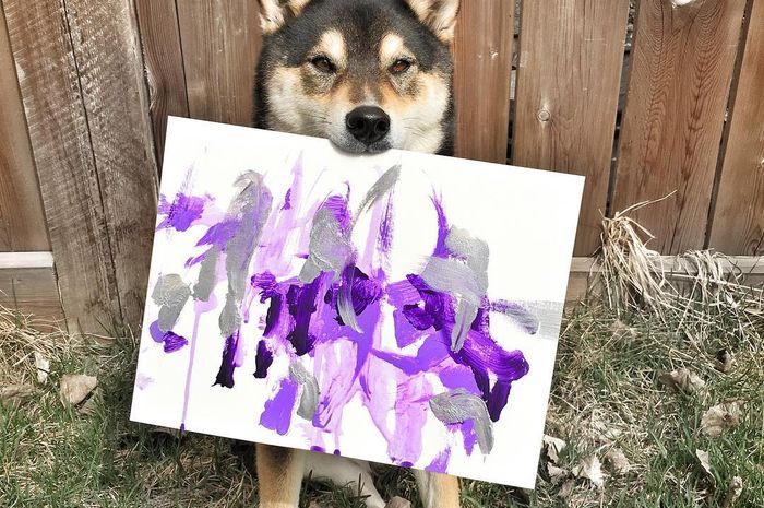 Berkenalan Dengan Hunter Anjing Shiba Inu Yang Bisa Melukis