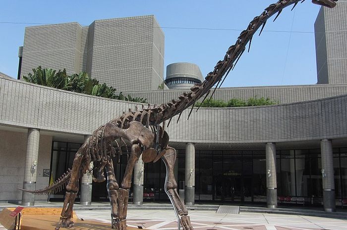 300 Gambar Dinosaurus Yg Mudah HD 300 Gambar Dinosaurus Yg Mudah HD