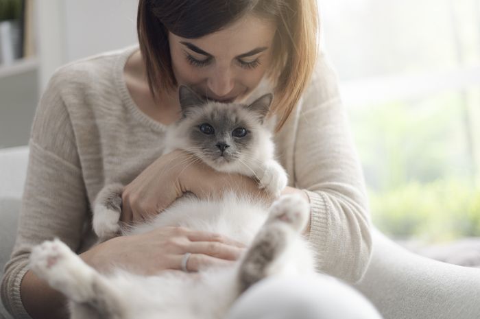 5 Tips Supaya Bulu Kucing Kesayangan Tidak Banyak Yang Rontok
