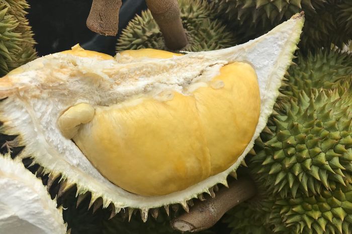 Unduh 570 Koleksi Gambar Durian Sukun Terbaru HD