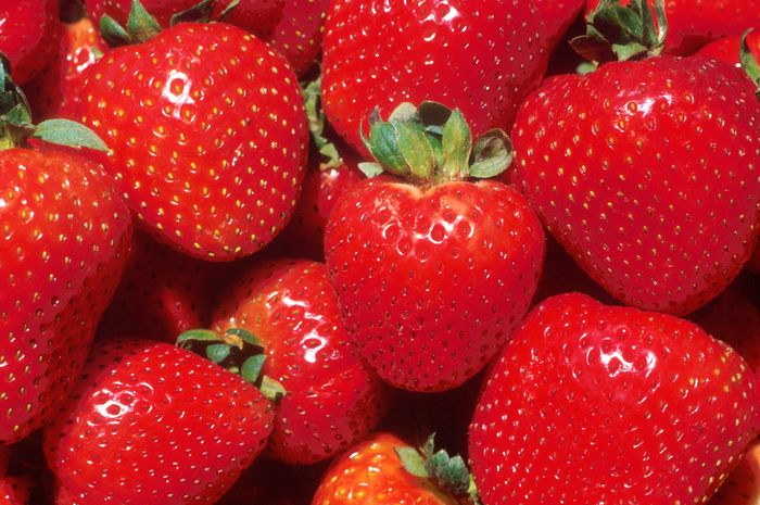 Warna Dari Setiap Jenis Buah Ternyata Memiliki Arti Lo Semua Halaman Bobo Warna Dari Setiap Jenis Buah Ternyata Memiliki Arti Lo Semua Halaman Bobo