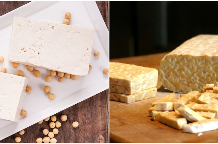 Cara Menyimpan Tempe Dan Tahu Berbeda Ikuti Cara Ini Agar Tempe Dan Tahu Tidak Cepat Basi Semua Halaman Bobo