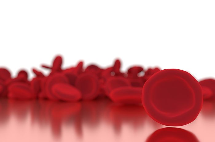 Sistem Peredaran Darah Manusia  Eritrosit, Leukosit, Trombosit, dan Fungsinya