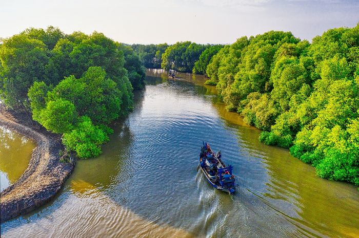 Cari Jawaban Soal Kelas 4 Tema 9 Kewajiban Manusia Terhadap Hutan Sungai Hewan Terancam Punah Dan Pohon Semua Halaman Bobo