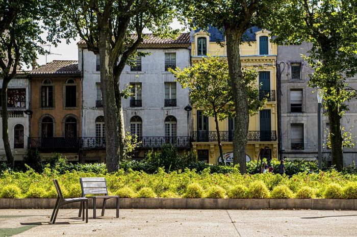 5 Fungsi Lingkungan Bagi Kehidupan Materi Kelas 4 Tema 9 Subtema 1 Semua Halaman Bobo