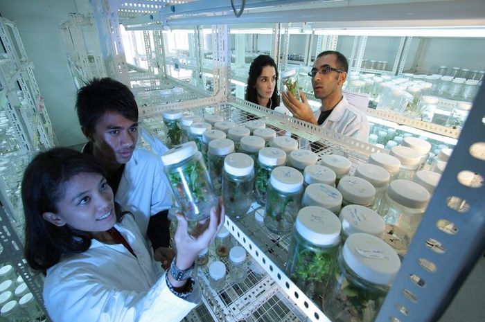 Bioteknologi terbagi menjadi dua, yaitu adalah moderen dan konvensional.