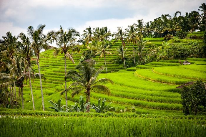 Berdasarkan letak geografis, kepulauan Indonesia berada di dua benua. 