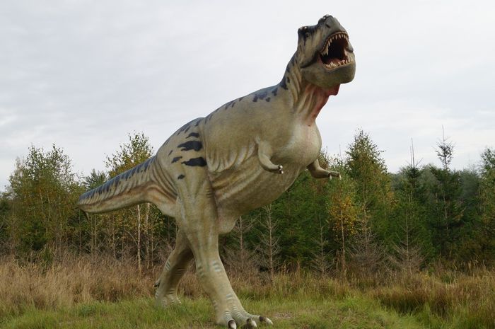 Tyrannosaurus rex rupanya berkerabat dekat dengan ayam.