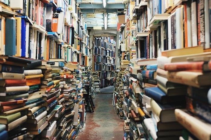 Pada sebuah novel kita akan menemukan teks deskripsi.