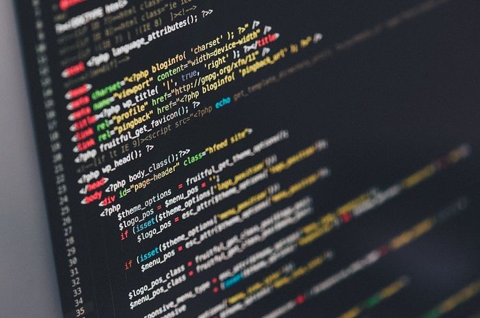 Mengenal pengertian dan tugas dari seorang programmer.