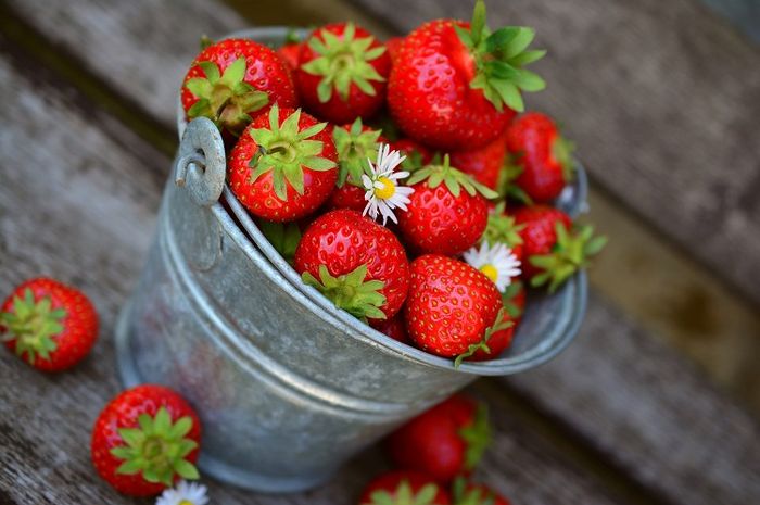 Ternyata Strawberry bukan buah dari keluarga berry