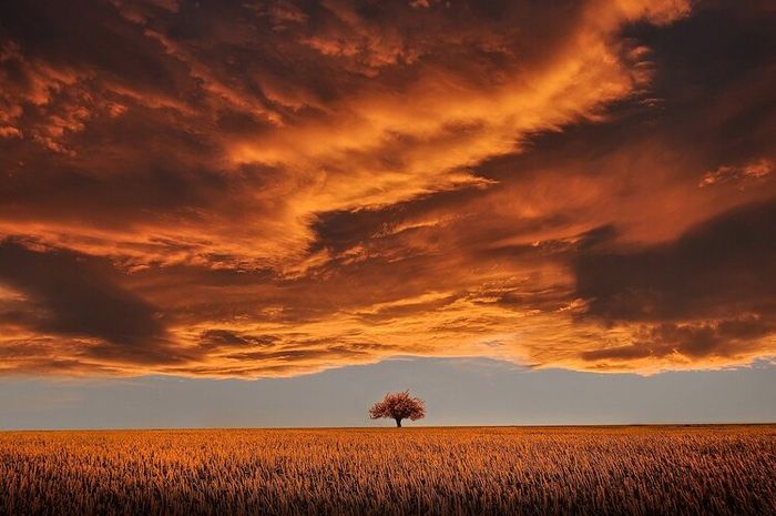 Langit berwarna merah dikarenakan adanya cahaya yang menembus udara.
