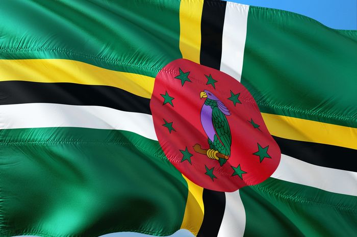 Bendera Dominika bergambar burung beo sisserou, burung berbulu ungu.