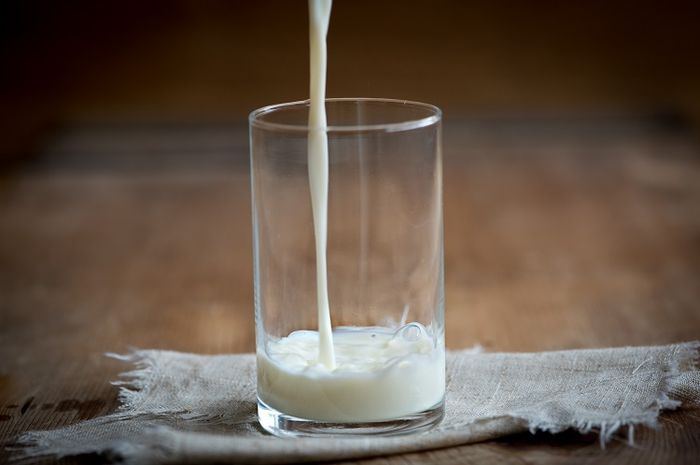 Manfaat susu kambing tidak kalah dari susu sapi.
