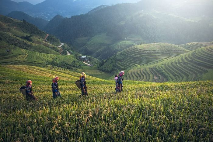 Ilmu geografi mempelajari mengenai manusia, lingkungan, dan gejala alam.
