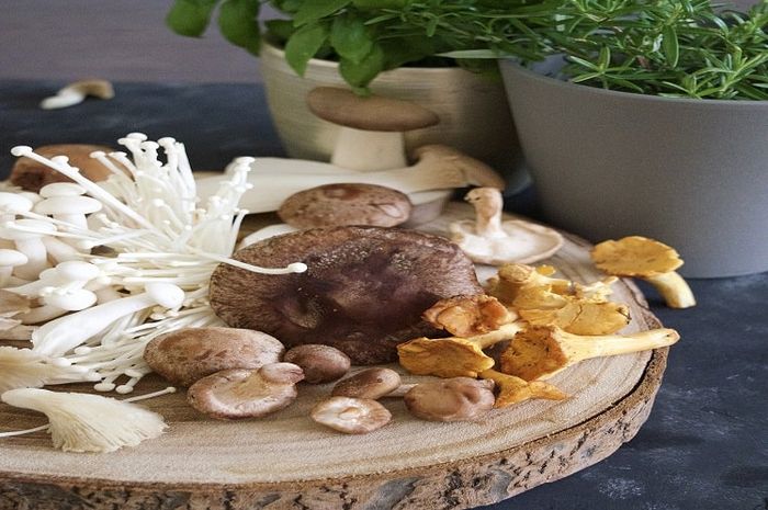 Serat dari jamur enoki membuat tubuh merasa kenyang lebih lama.