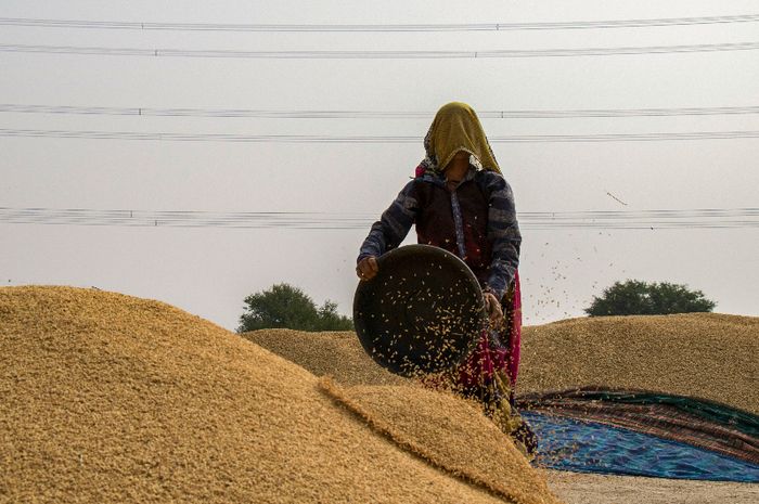 Kemerdekaan Indonesia semestinya memiliki pengaruh bagi para petani.