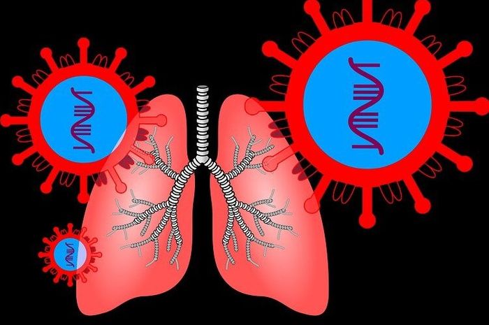 Sistem Dan Organ Pernapasan Pada Manusia Materi Kelas 5 Sd Tema 2 Semua Halaman Bobo