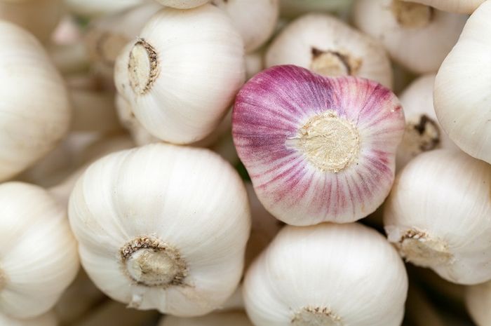 Menyimpan bawang putih dan bawang merah di dalam kulkas dapat merusak kandungan gizi di dalamnya.