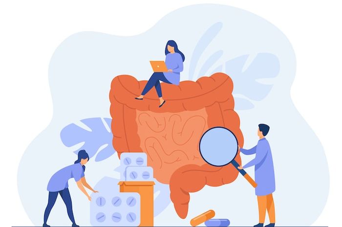 Sistem pencernaan pada manusia terdiri atas beberapa organ.
