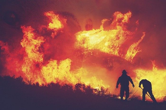 Kebakaran hutan adalah bencana alam yang dapat kita cegah.