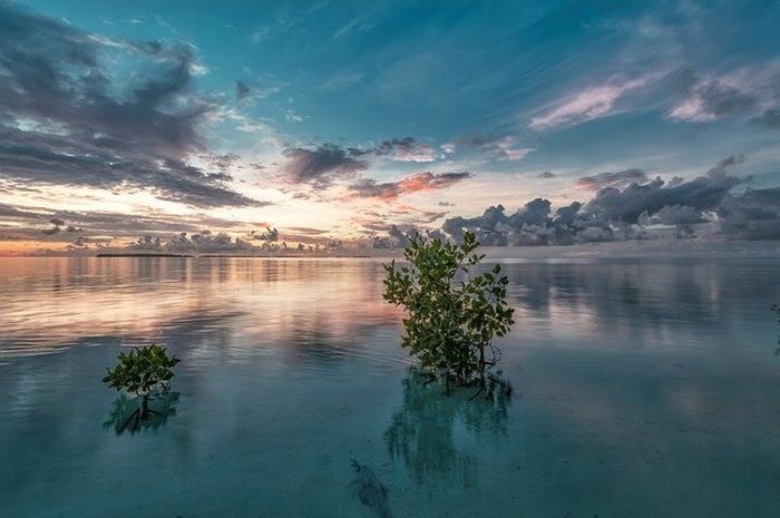 Indonesia dikenal sebagai negara maritim.