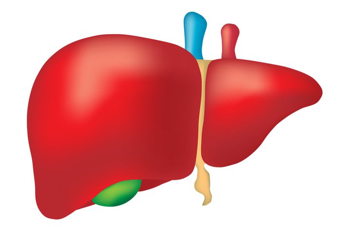 Hati-hati organ liver bermasalah.