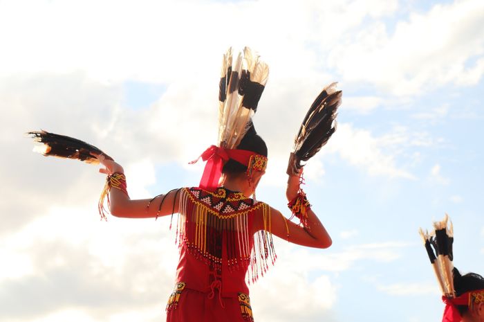 Tari Monong merupakan tarian daerah yang berasal dari Suku Dayak, Kalimantan Barat. 