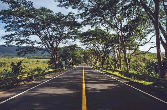 Jalan raya yang bersih dan sehat merupakan tangung jawab semua pengguna jalan.