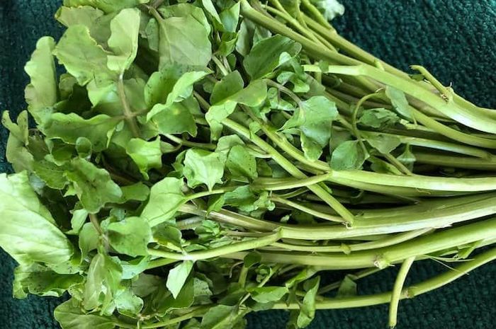 Sayur paret atau selada air memiliki berbagai manfaat.