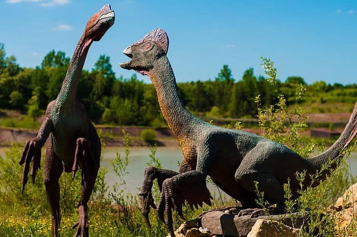 Dinosaurus adalah hewan yang dulu hidup di bumi.