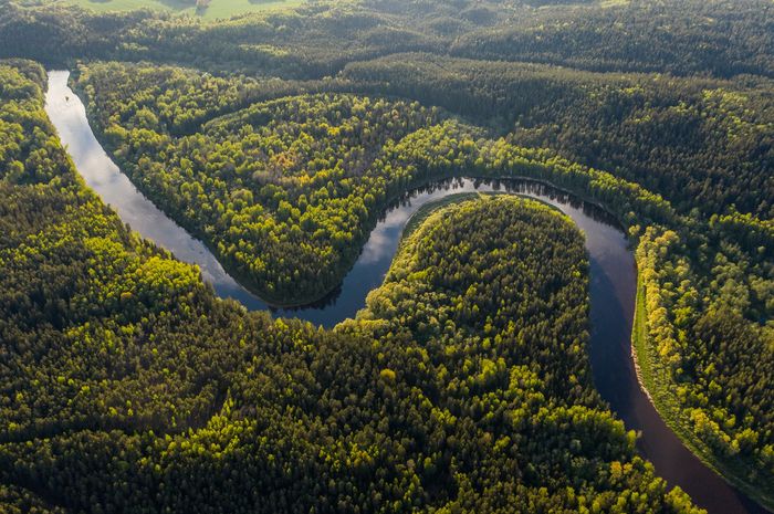 Hutan Amazon  melepaskan hampir 20 persen lebih banyak karbon dioksida ke atmosfer selama beberapa dekade terakhir dibandingkan udara yang diserapnya.