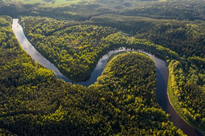 Sungai amazon tidak memiliki jembatan dikarenakan keadaan airnya yang tidak menentu.