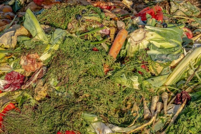 Limbah makanan kebanyakan berasal dari sampah rumah tangga.